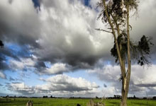 btc冷钱包下载-（blockchain冷钱包）